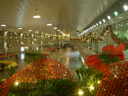 Allestimento Aeroporto di Caselle